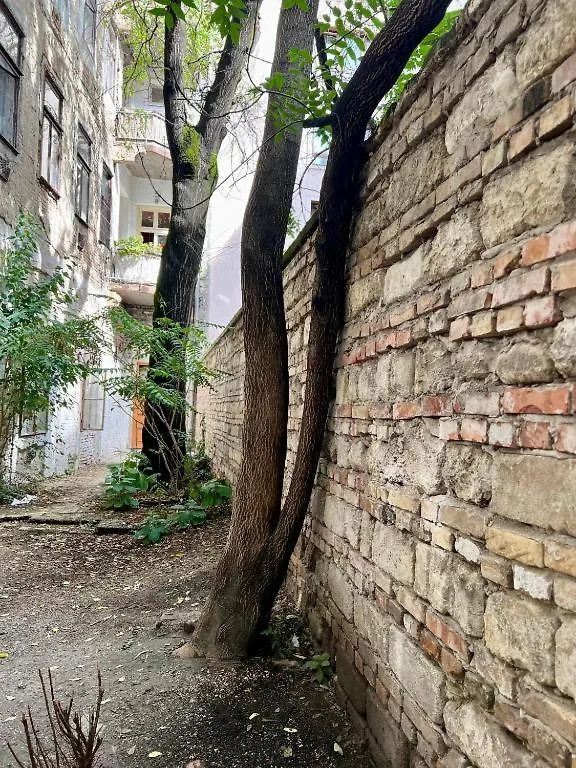 Gozsdu Court Le Chat Noir Budapest